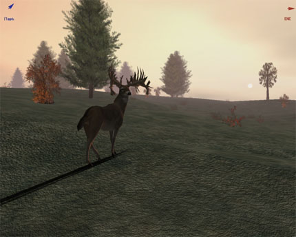 deer hunter 2005 game download